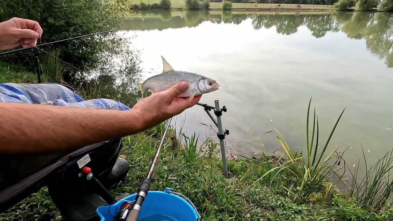 Pêche de gardons au feeder en étang - Jour 1