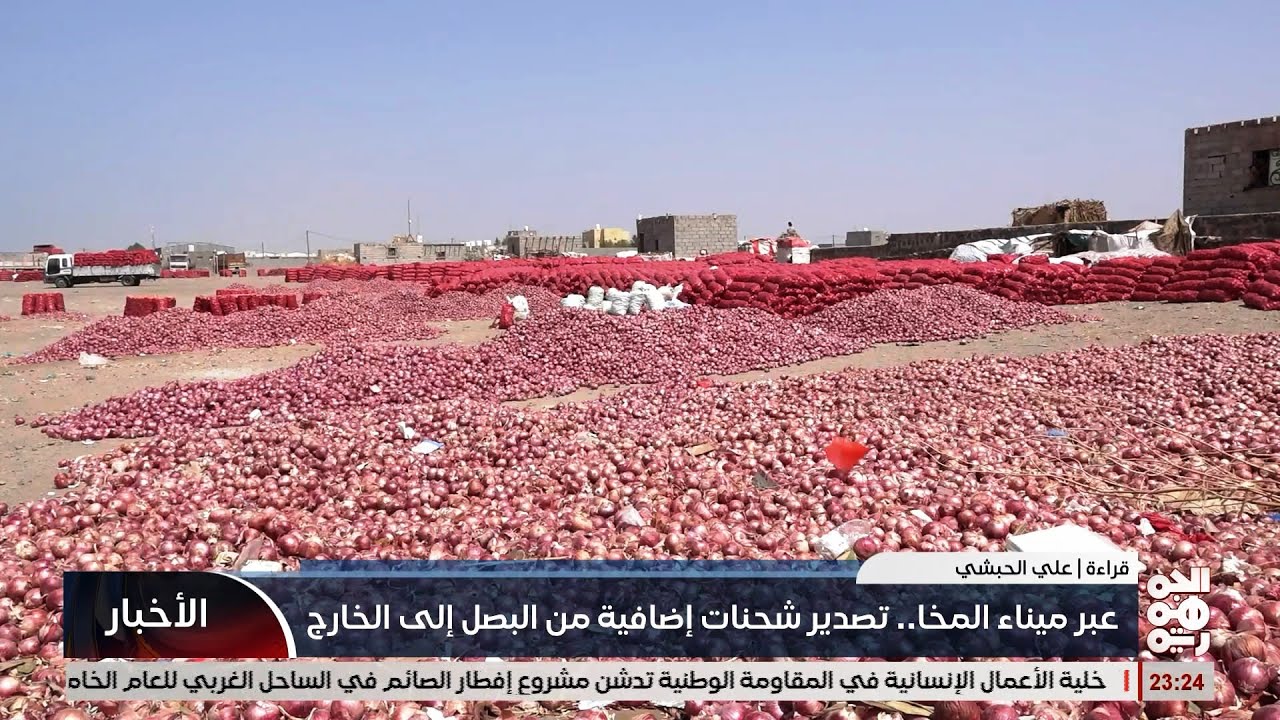 عبر ميناء المخا .. تصدير شحنات اضافية من البصل اليمني