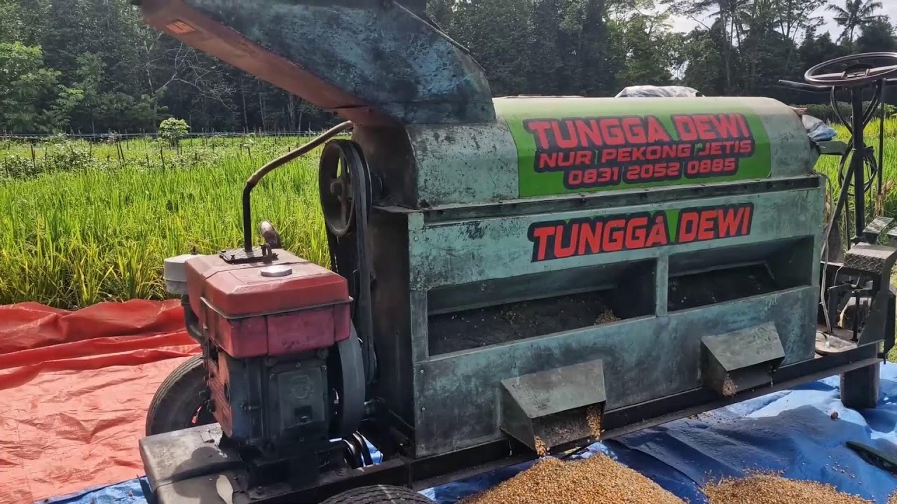 NO MORE MANUAL GRINDING! HOW THIS ADVANCED MACHINE HANDLES HUNDREDS OF CORN QUICKLY! -farming tips