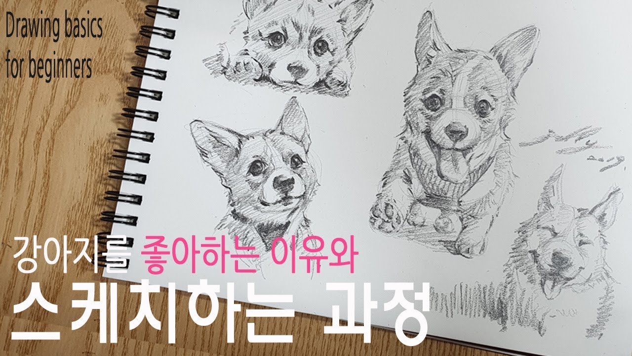 강아지 스케치하는 방법과 강아지를 좋아하는 이유 /기초드로잉