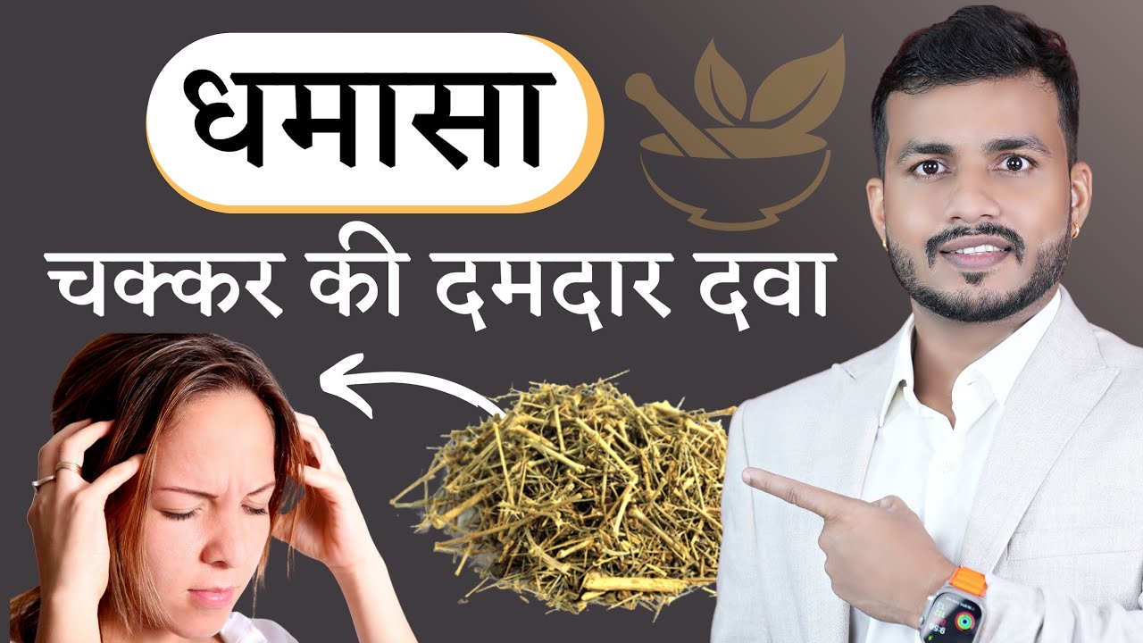 चक्कर के टक्कर की दवा Dhamasha : Benefits, Ayurveda Guna & Uses | Mishraveda  ||EP.581