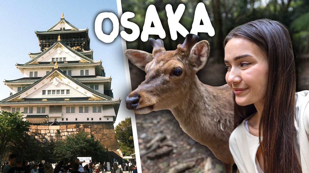 We Fed Wild Deer in Japan and THIS Happened!