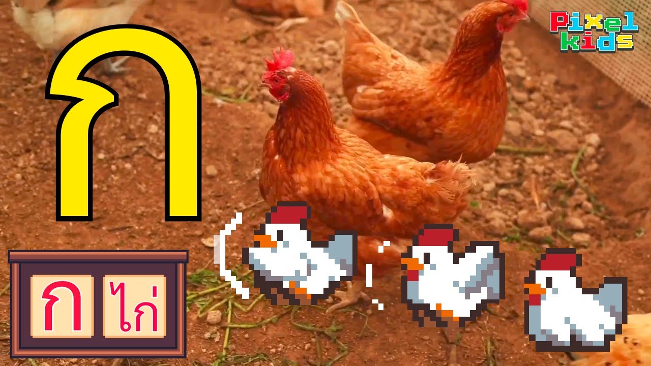 ก ไก่ ถึง ฮ นกฮูก (ใหม่) การ์ตูนสไตล์พิกเซล พร้อมภาพจริงเคลื่อนไหว | กถึงฮ พยัญชนะไทย44ตัว | ดูเพลิน