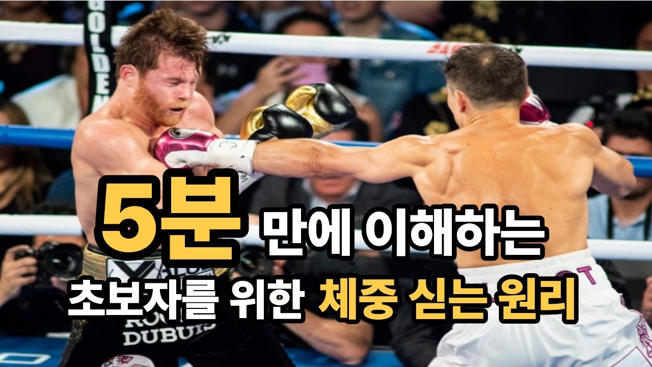 복싱 체중 실어서 펀치 치는방법. 복싱 기초