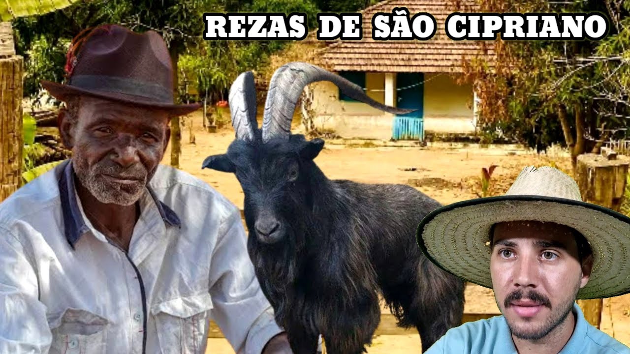O Velho que usava Rezas de São Cipriano para virar Bode e Burro nos pastos.. Causos Caipiras