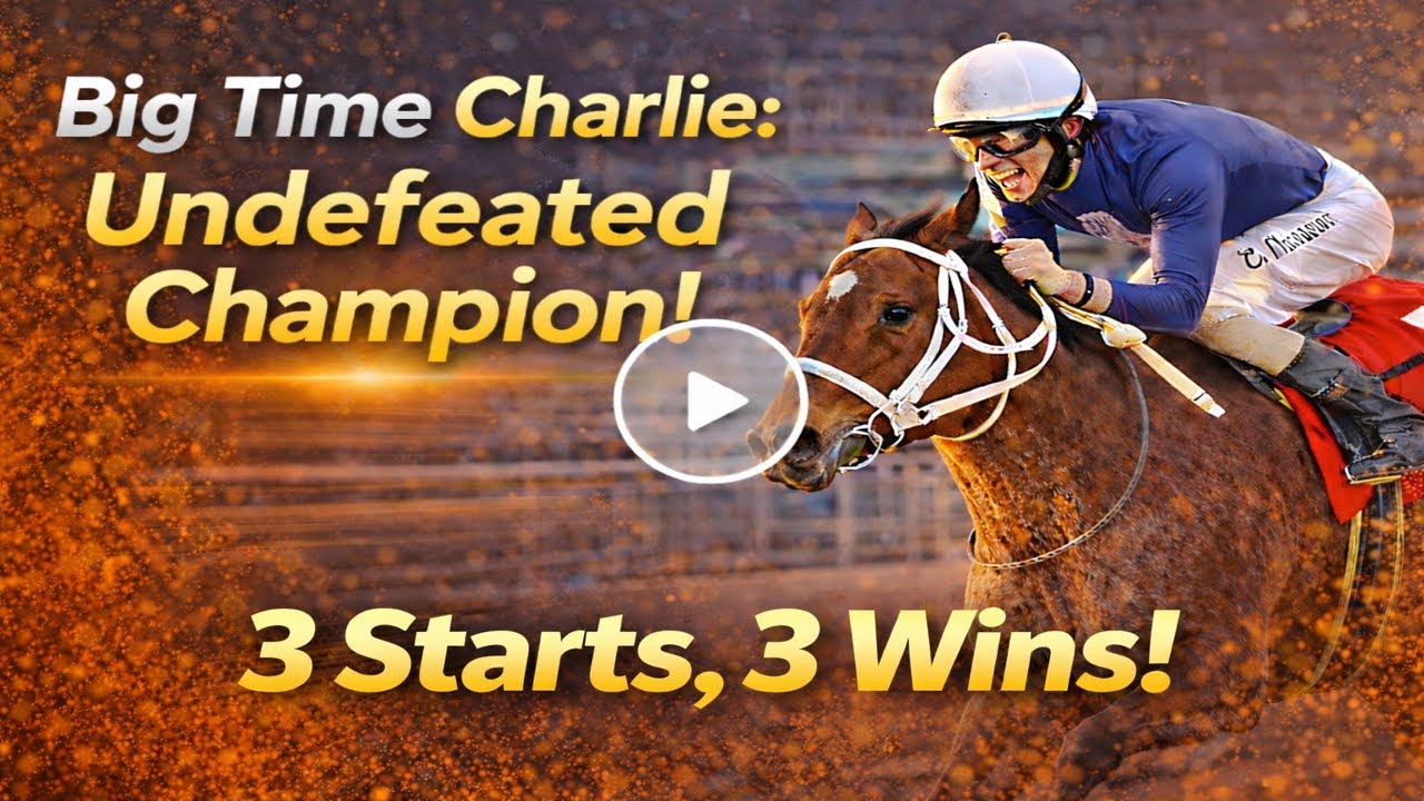 Big Time Charlie: 3 Starts, 3 Wins - Unstoppable Thoroughbred Racing Champion! @Horse Races