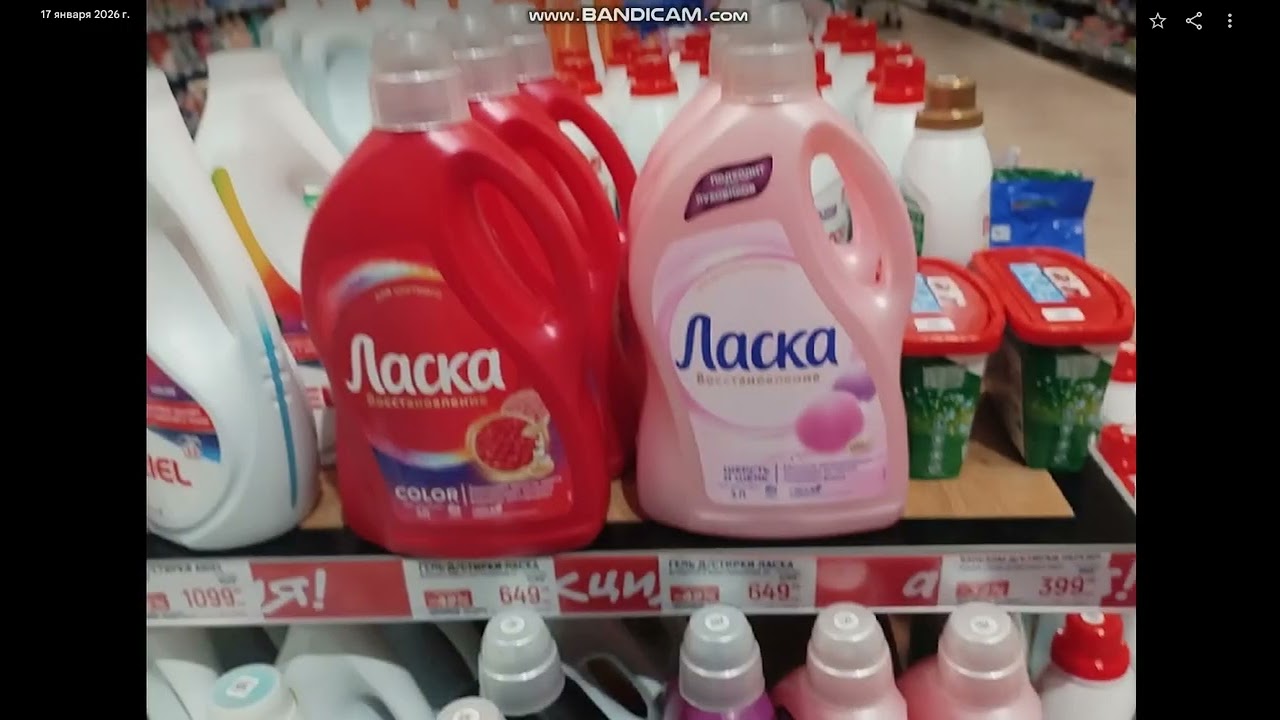 bandicam 2026 03 19 02 24 33 121