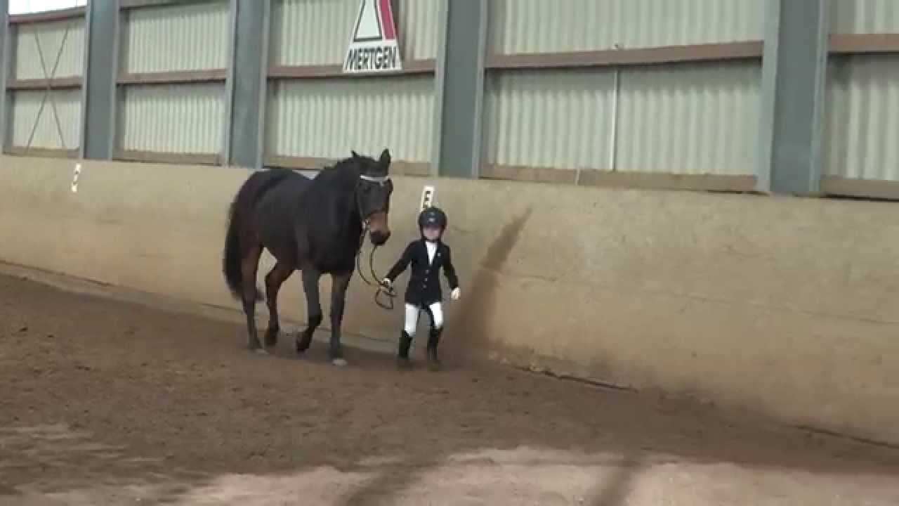 Malu (5) und Belle Amie, Reitabzeichen 9, Bodenarbeit, am 01.11.2014