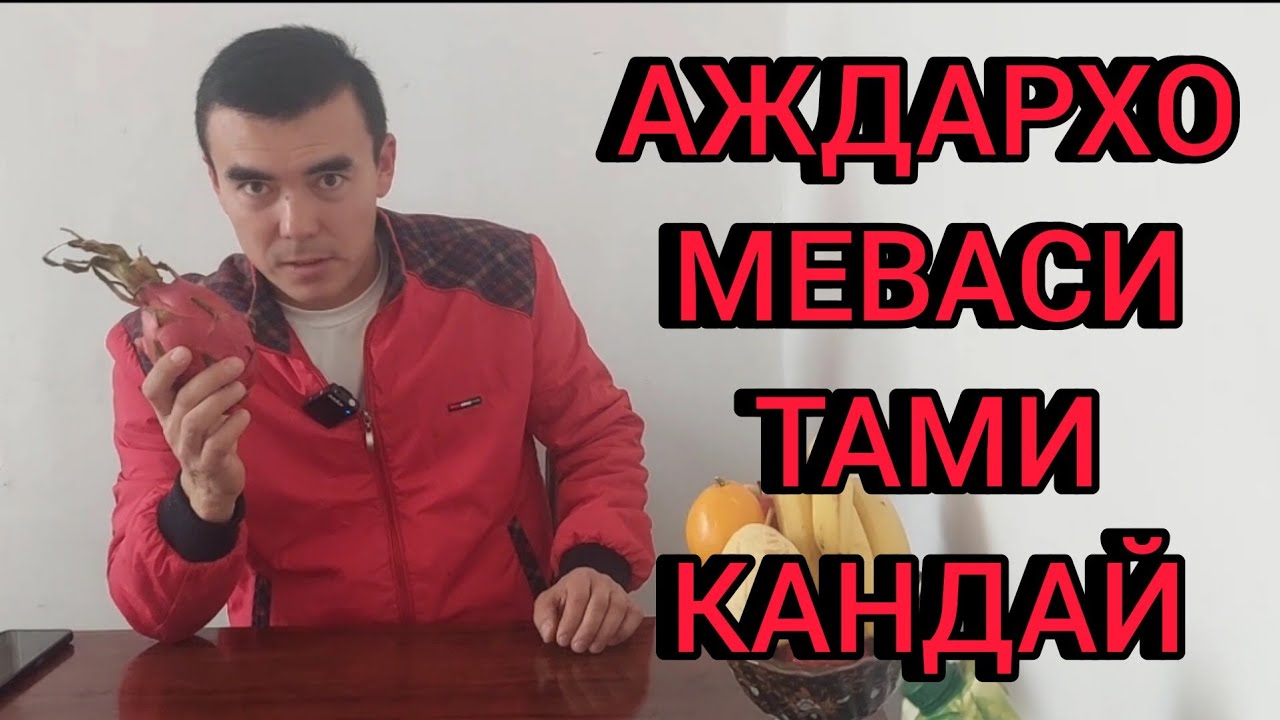 Экзотик мева: Аждархо меваси, фрукт дракона