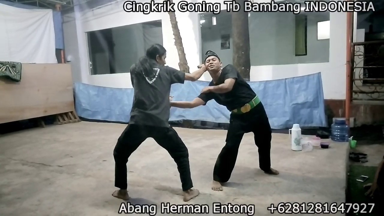 Evaluasi Makna Jurus Cingkrik Goning Tb Bambang INDONESIA