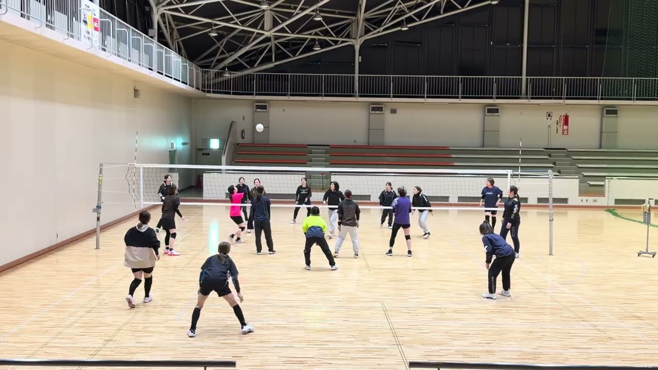 コスモさん③