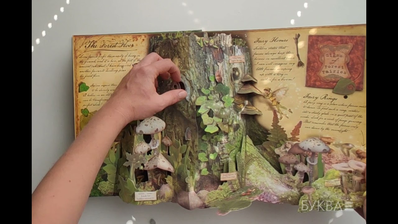 Flower Fairies - Cicely Mary Barker