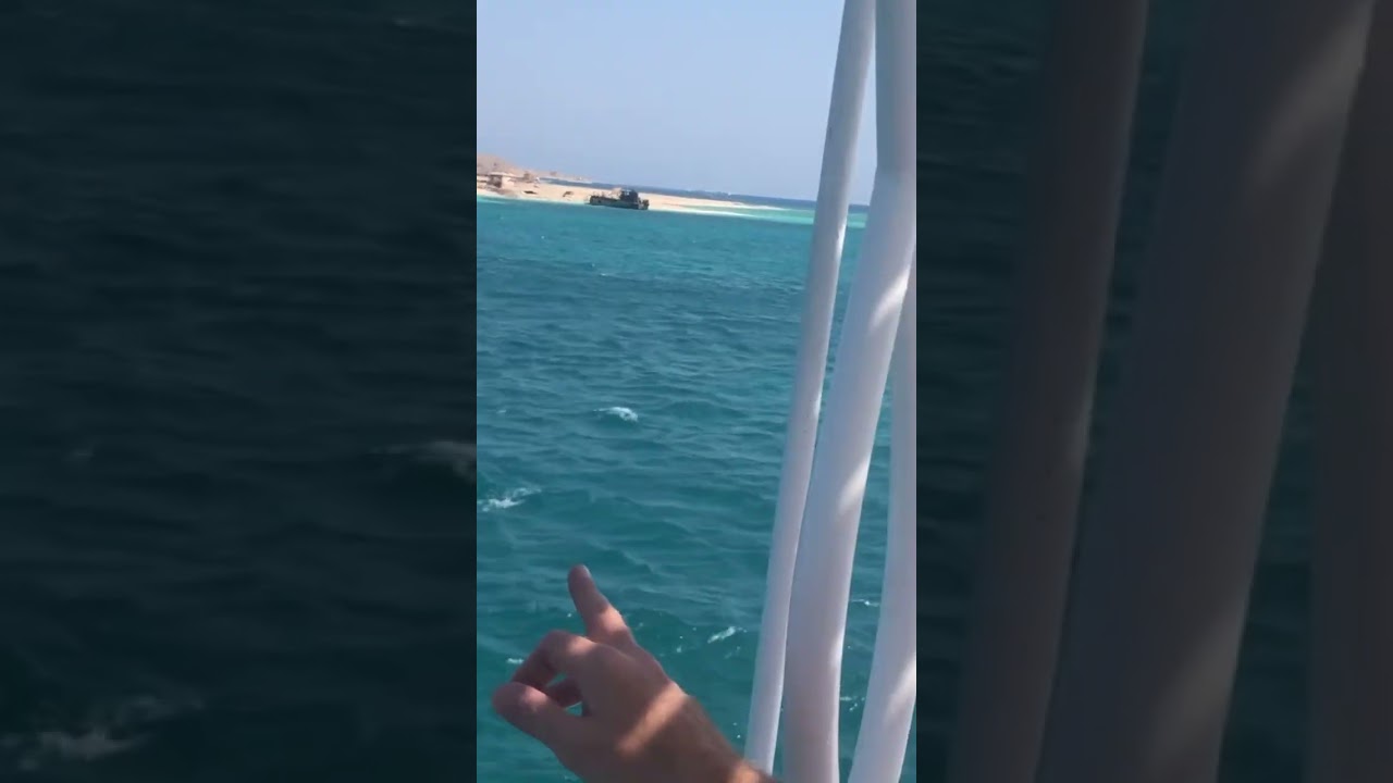 Paradise island в Красном море. Египет. На самом деле, вся наша планета - Paradise 