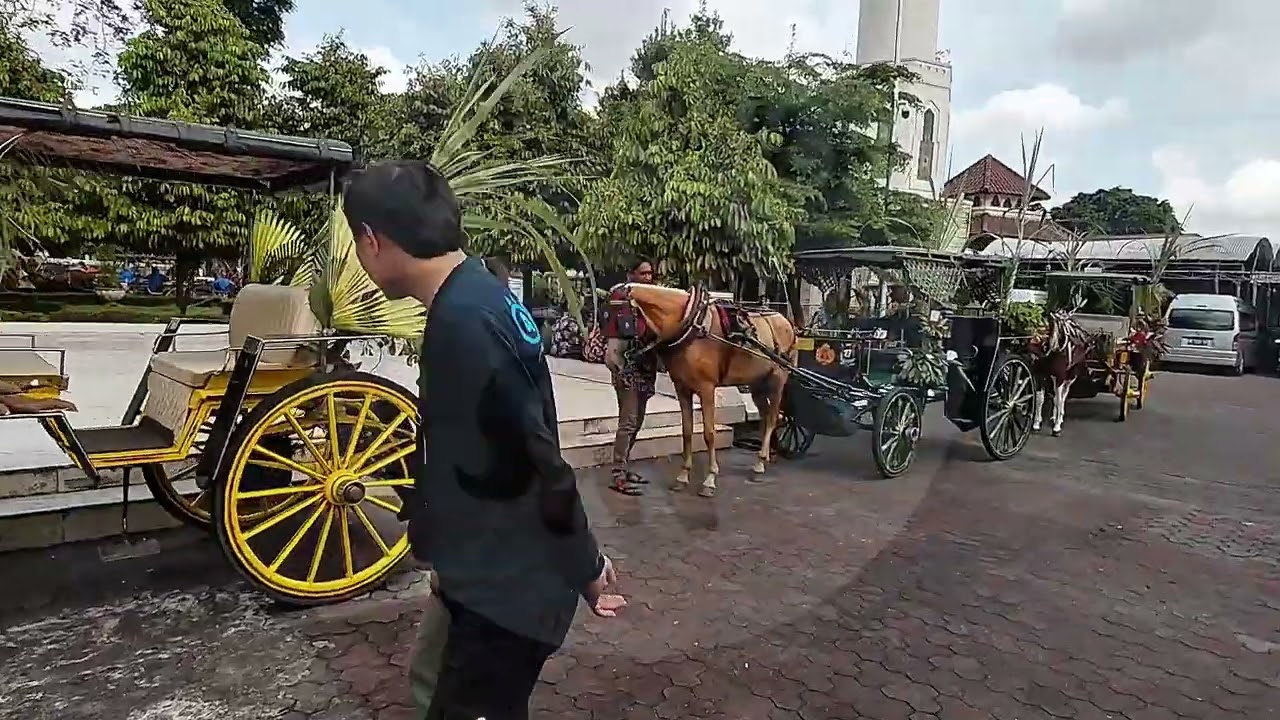 Andong Hias
