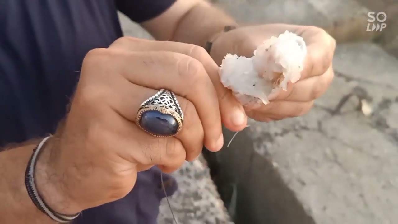 فيديو تعليمى لصيد سمك المياس (بالترقيد)