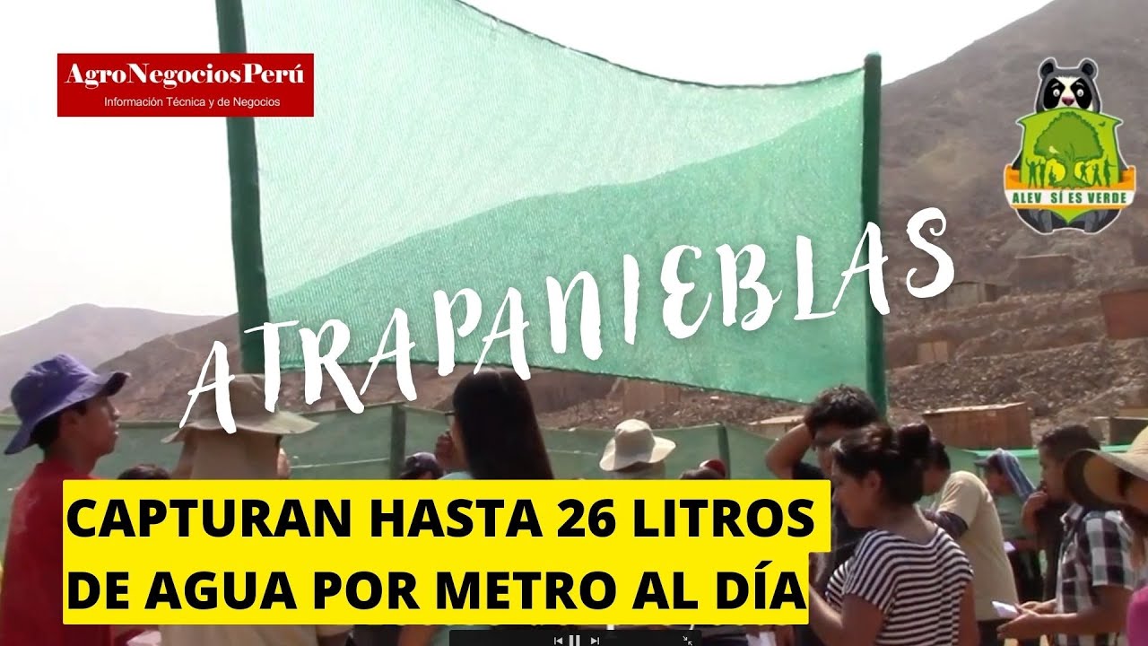 Atrapanieblas capturan hasta 26 litros de agua por metro/día y sirven en la ciudad y el campo