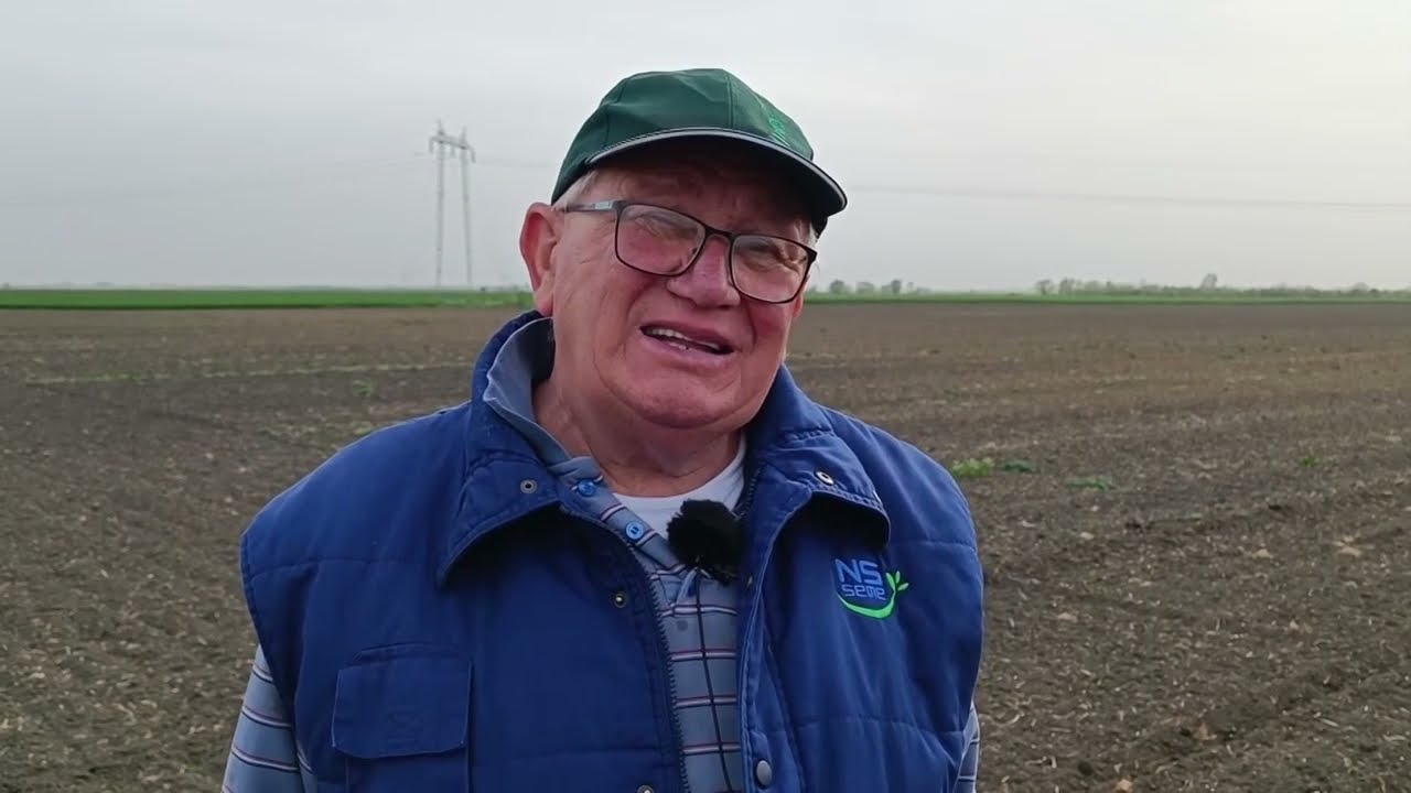 ZBOG NEDOSTATKA PADAVINA KUKURUZ SEJEM NA REDJE