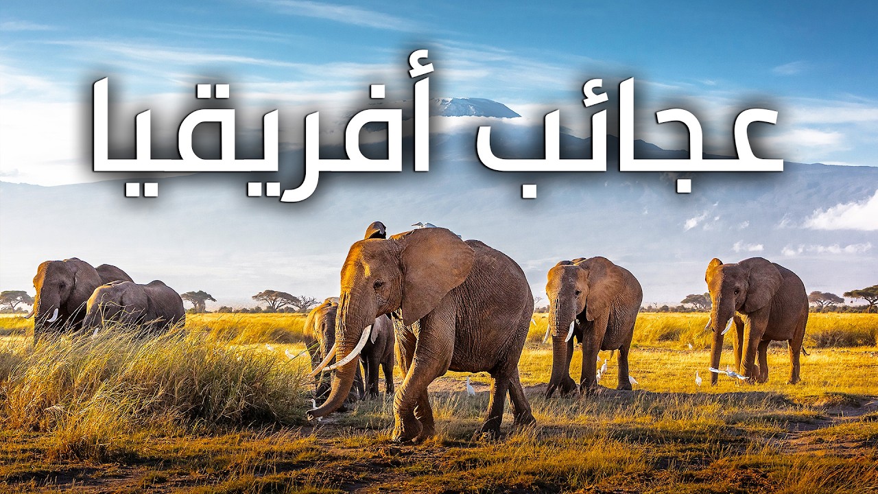 أفريقيا الجميلة: وثائقي يستعرض أجمل وأروع أماكن وحيوانات القارة