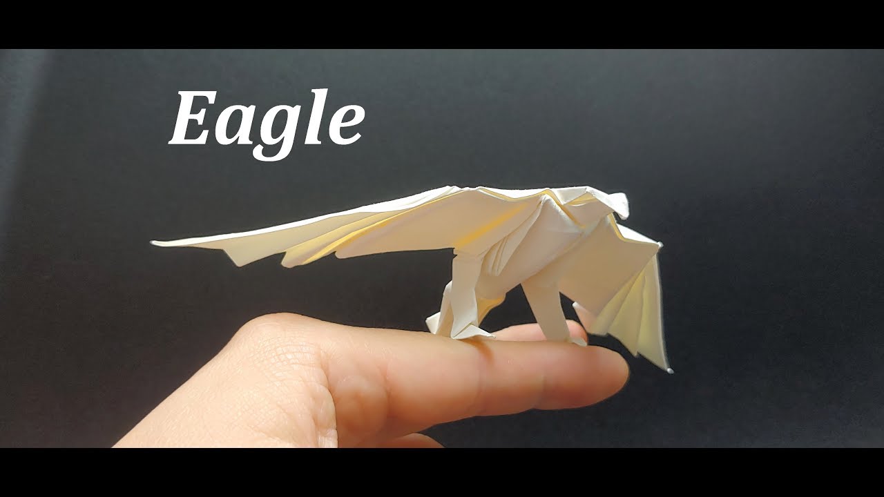 Origami Eagle 독수리 종이접기, 흰독수리 접는 법, Bald Eagle