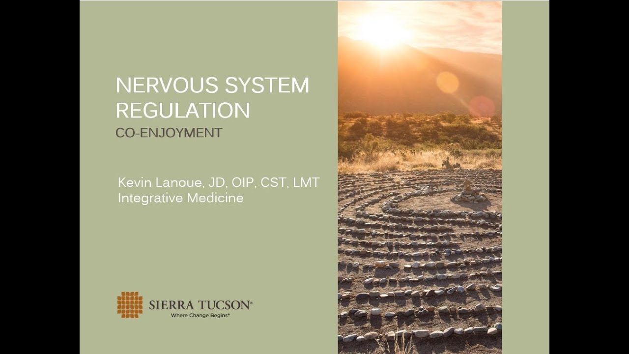 Nourishment Webinar: Nervous System Regulation  Co-Enjoyment