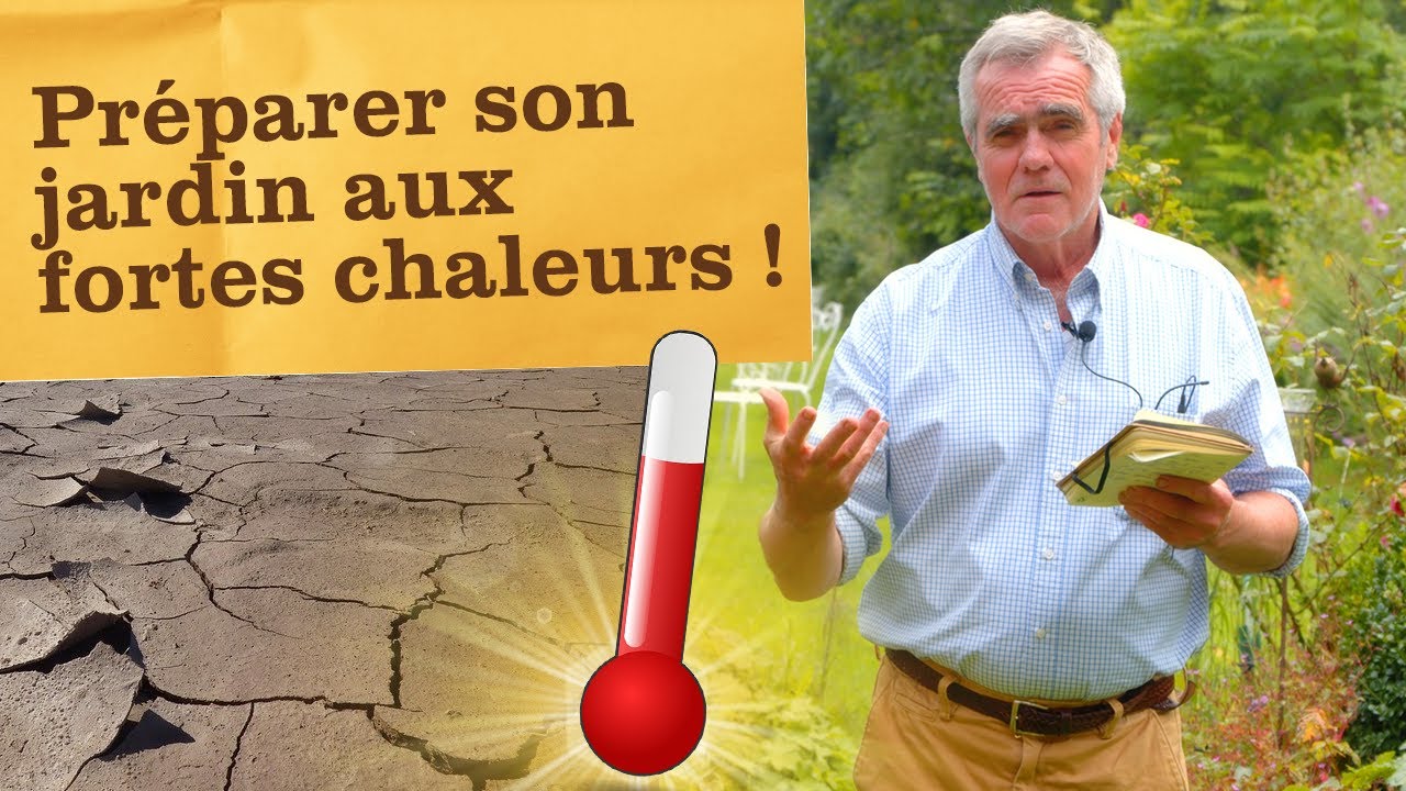 Canicule, comment protéger son jardin des fortes chaleurs ? 7 conseils pour éviter que ça grille !