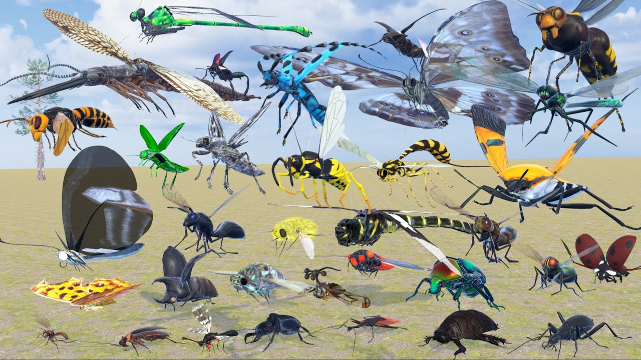 Insect Speed Comparison in 3D Animation | Realistic World Data