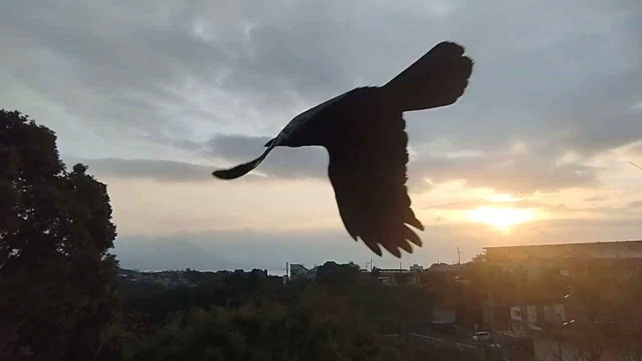 20251203　複雑な雲の動きにご注目❗