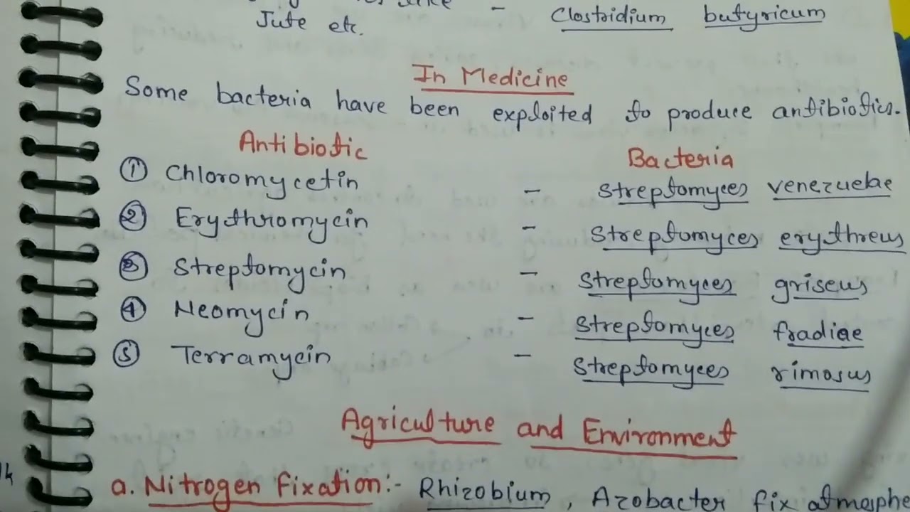 Economic importance of bacteria, msc botany notes