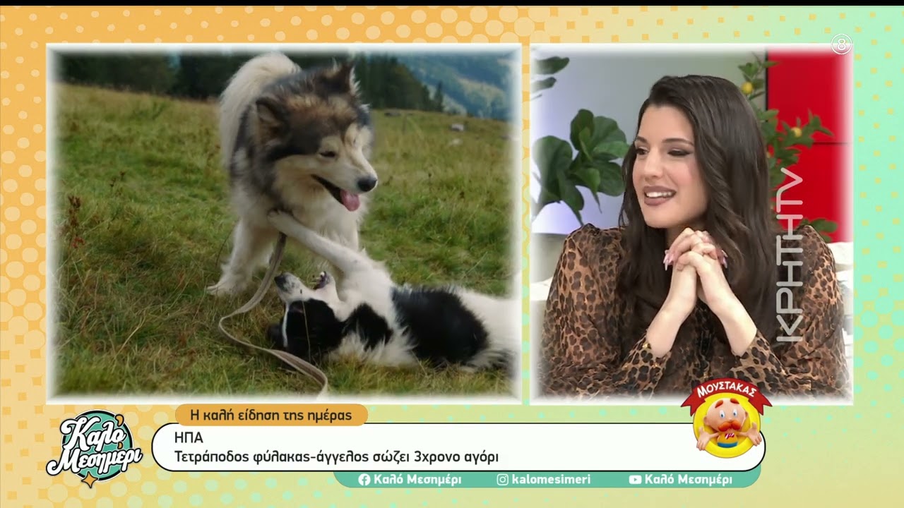 ΗΠΑ : Τετράποδος φύλακας-άγγελος σώζει 3χρονο αγόρι