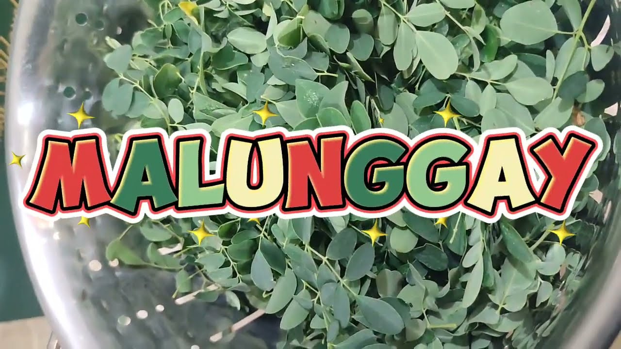 MALUNGGAY BOW