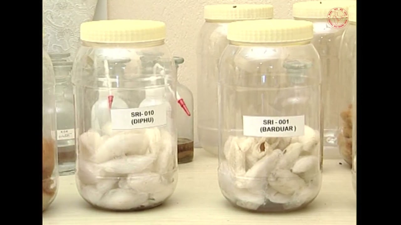 New techniques in eri silkworm rearing & quality cocoon production English 2009 CSB