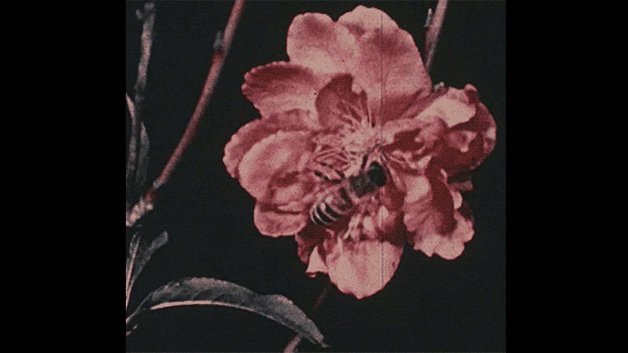 [FREE] The Neighbourhood x Alternative Type Beat - 