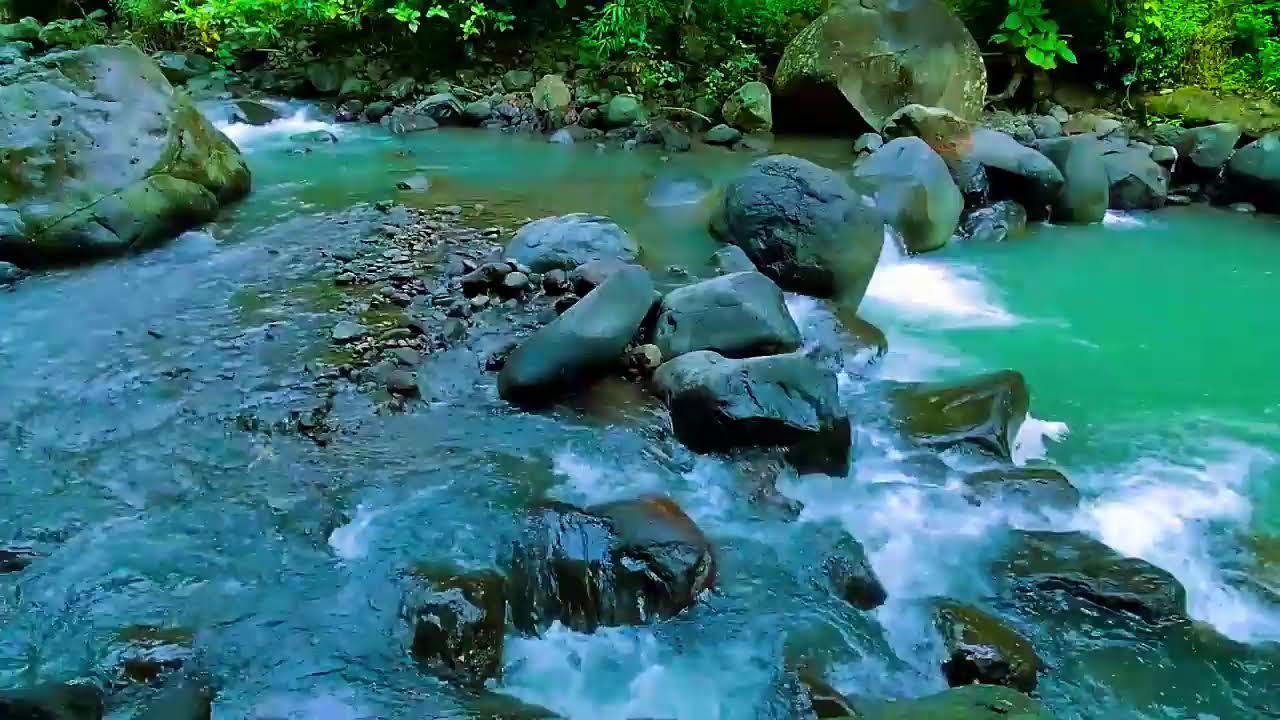 Calming Forest Ambience - Peaceful River Stream Ambience - Relaxing Birdsong Sounds