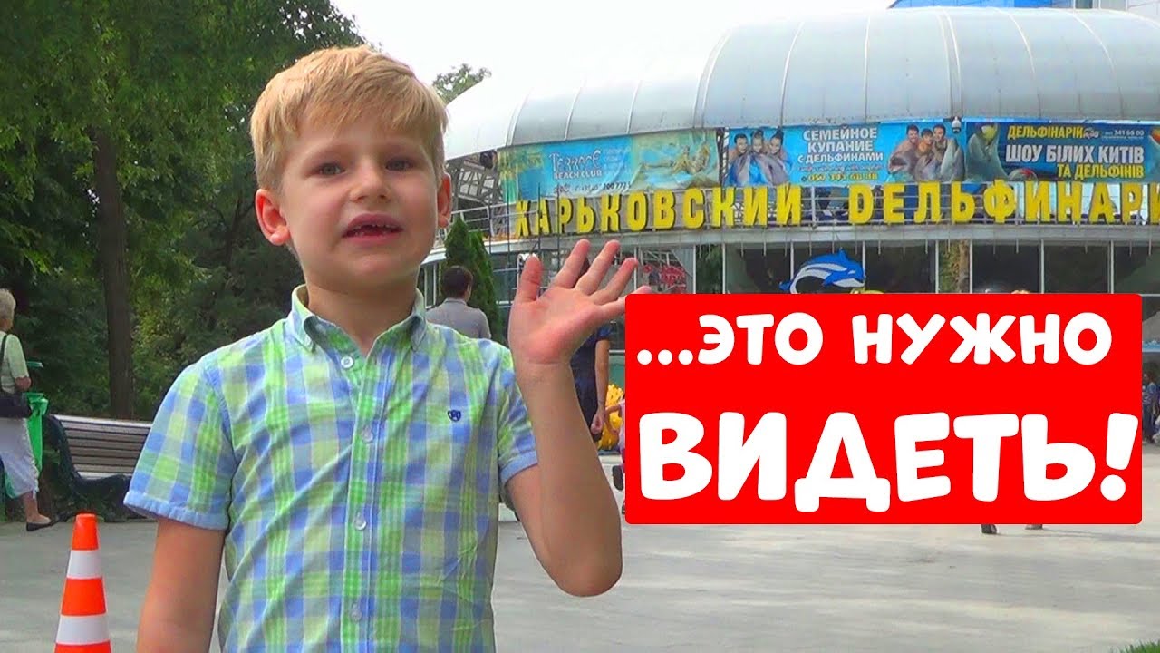 VLOG ДЕЛЬФИНАРИЙ 