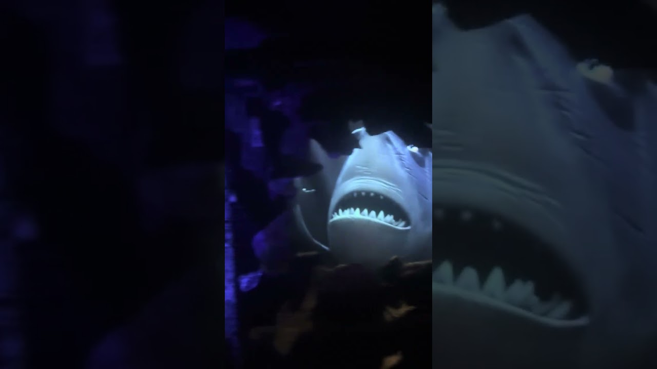 Submarine ride at Disney land 