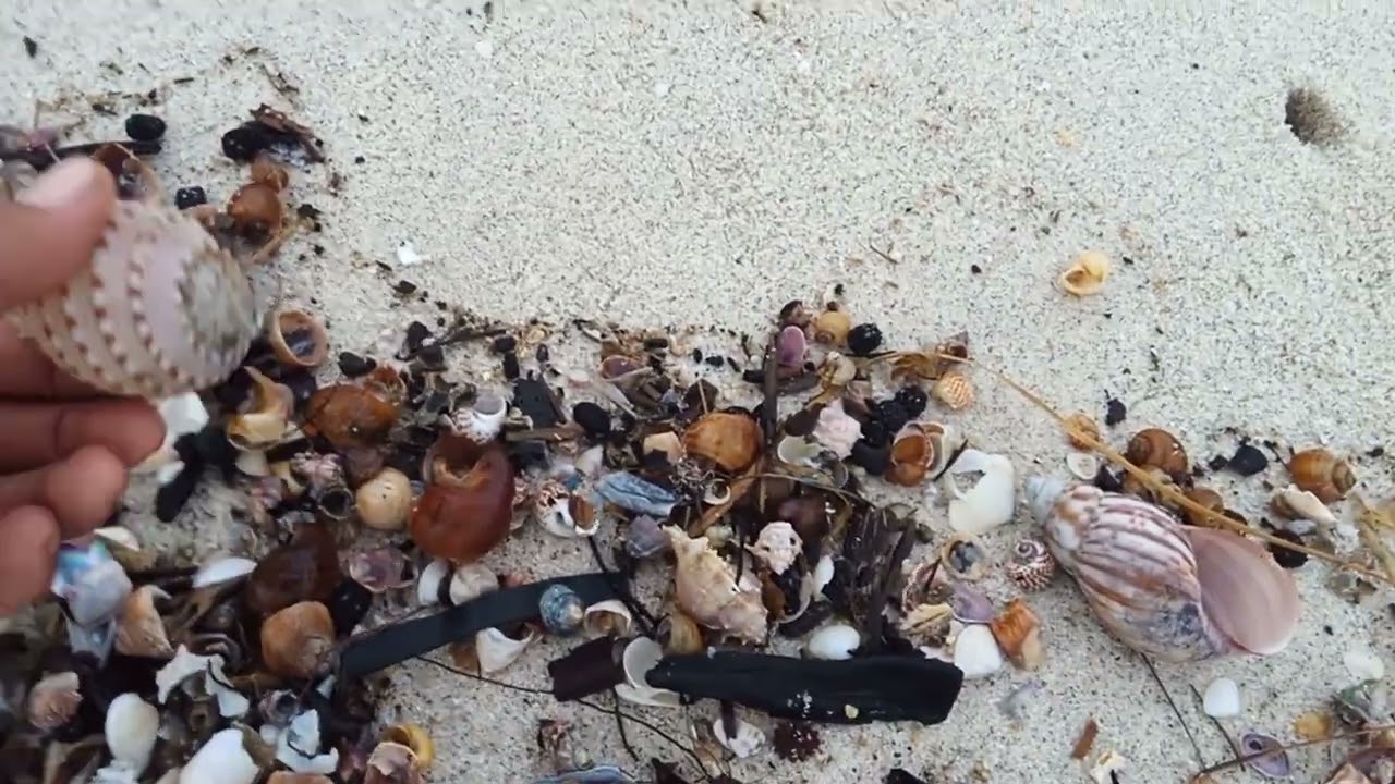 indahnya pantai.. banyak benta yg unik