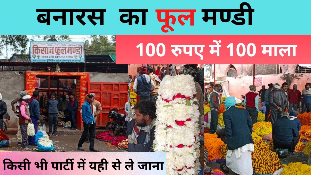 किसान फूल मण्डी मलदहिया वाराणसी || flower market 