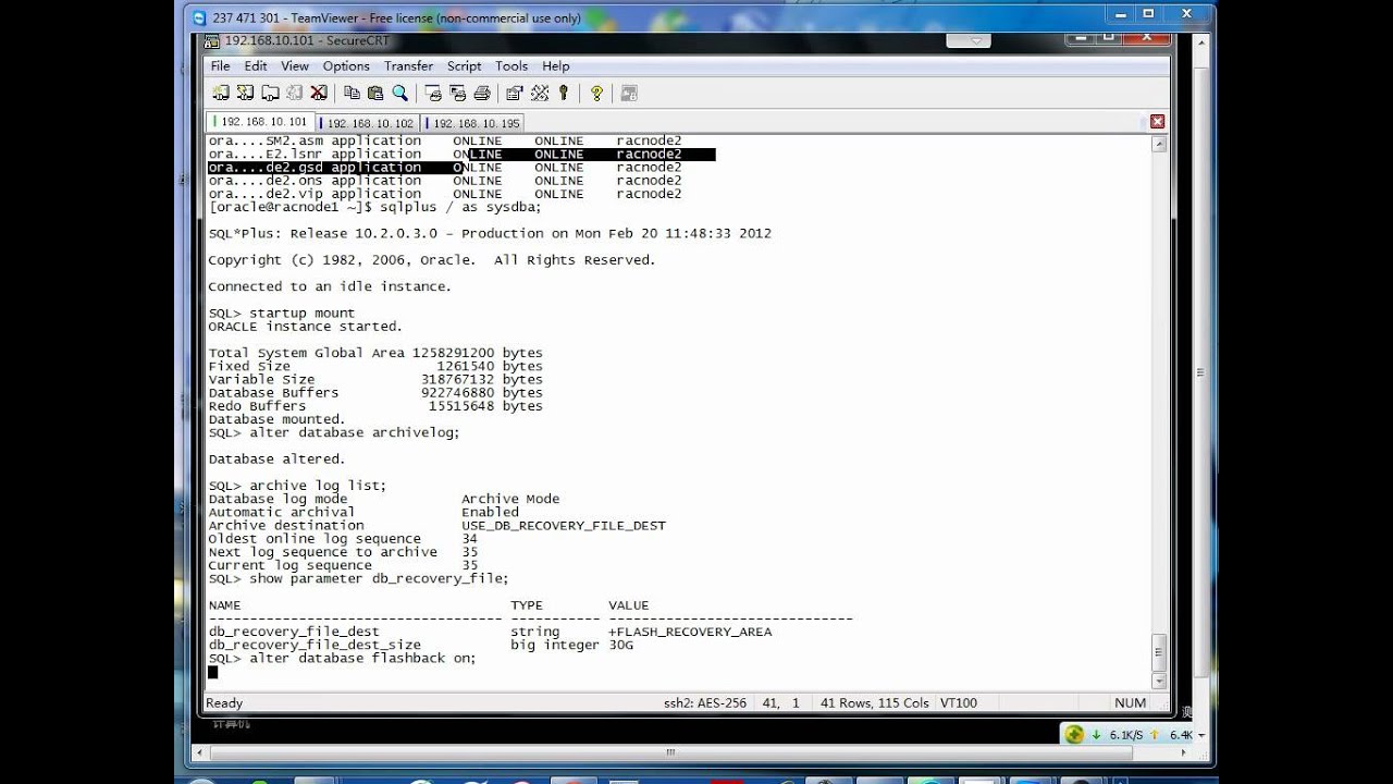 04.26.02_Oracle_10gR2_RAC_4.26.2 Enabling Archive Logs and Flashback in a RAC.avi