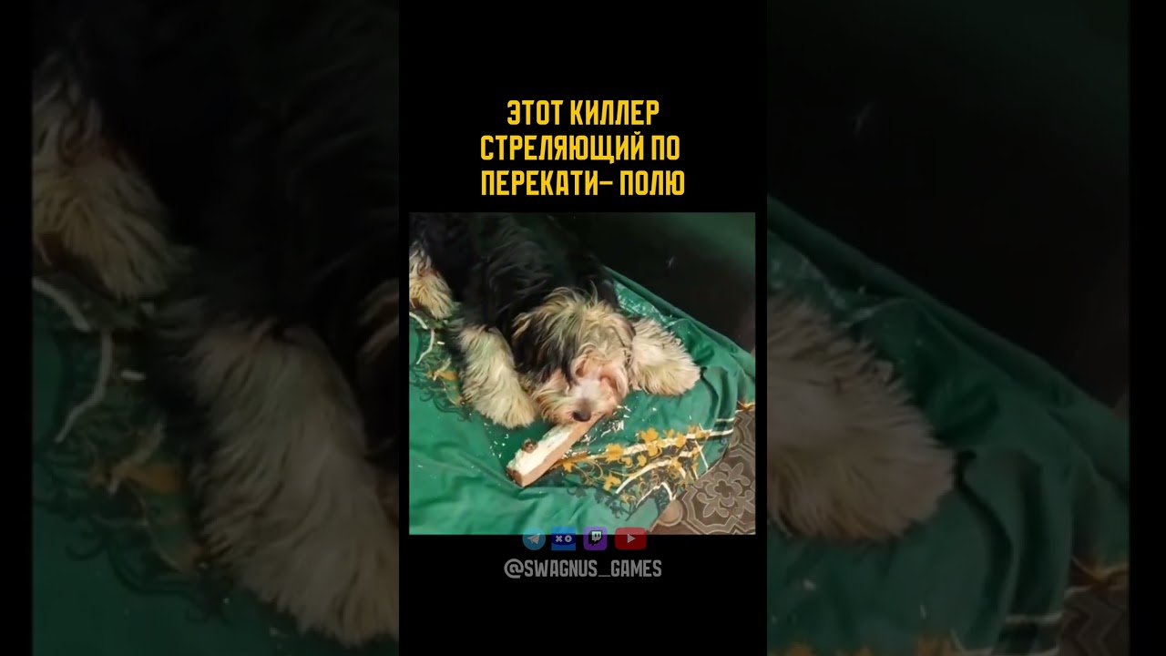 Всем PVPшерам посвящается #ARCRaiders #Memes