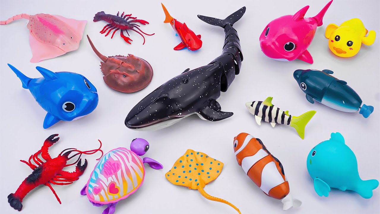 [🐋toy asmr 🐋] RC Whale & Sea Animal Toys Playset | Satisfying Unboxing Fish Toy