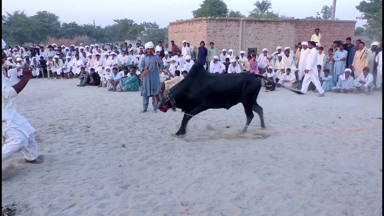 Besakhi Mela Lalii more Thaheem abad distract Layyah belloon ka mela Mela malik koro sohia part 5