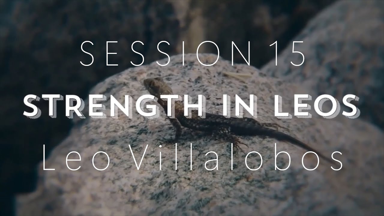 Session Fifteen: Advice on How To Be Successful As a New Leopard Gecko Breeder With Leo Villalobos
