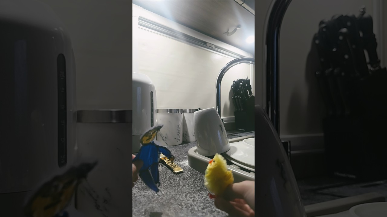 the duck song irl