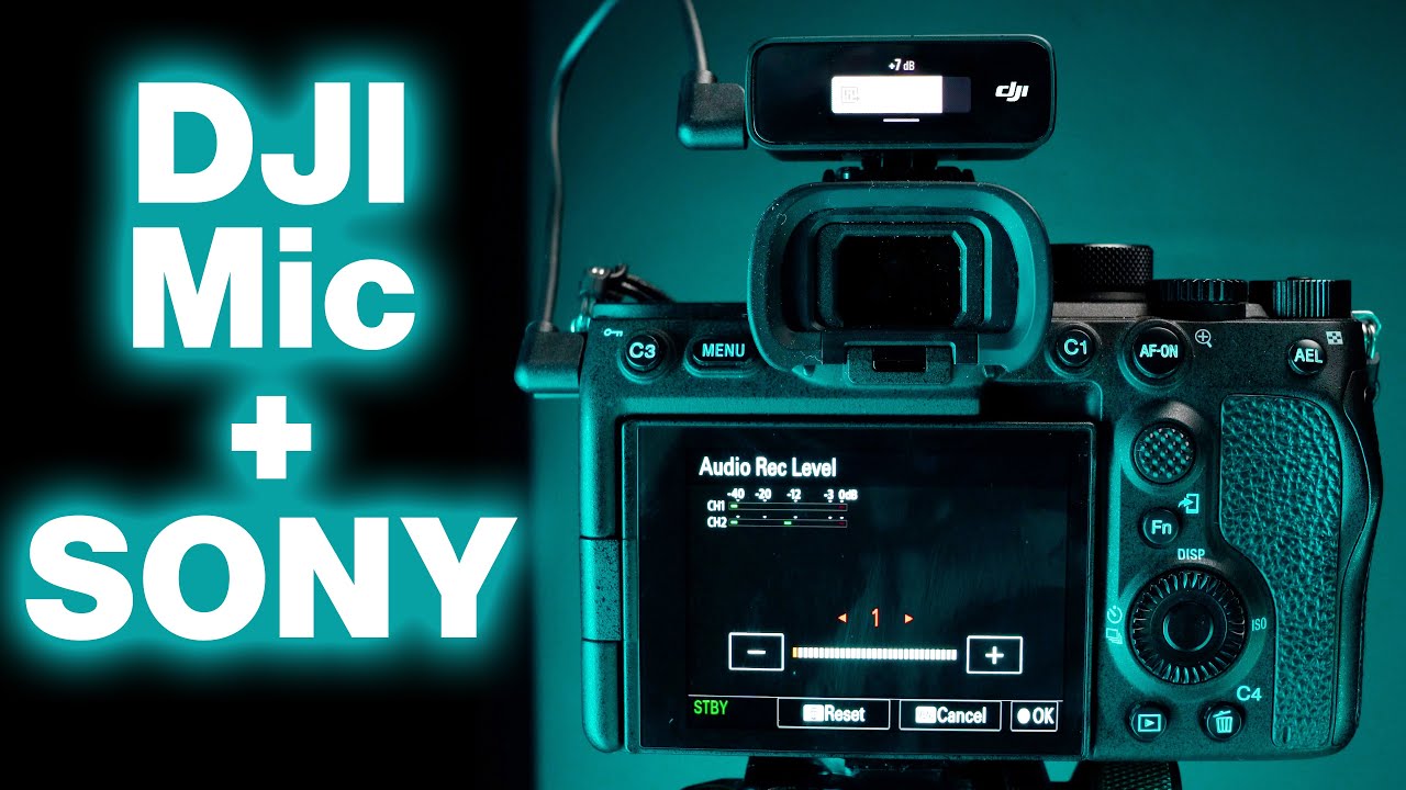 Как настроить микрофон DJI на камере Sony — Настройки для потрясающего звука