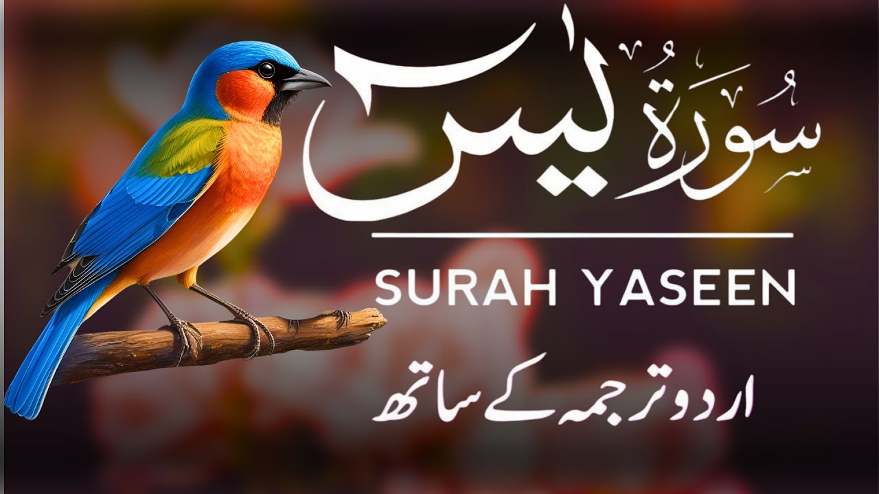 Surah Yaseen | Surah Yaseen With Urdu Translation | Episode - 457