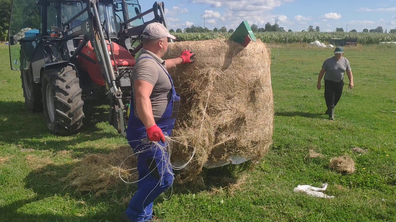 przecinak nóż do bel sianokiszonki