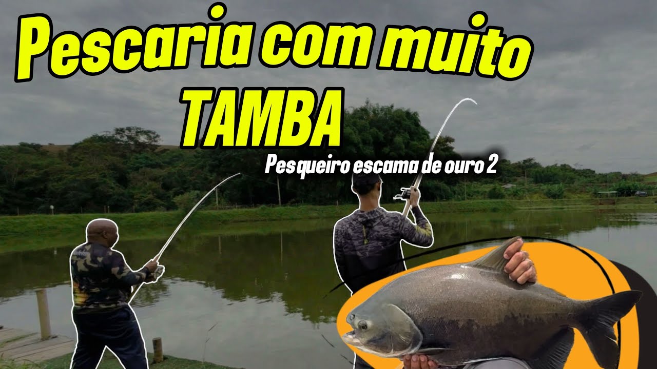 Pesca INSANA com meu pai 🎣 | Um dia que vai ficar na memória