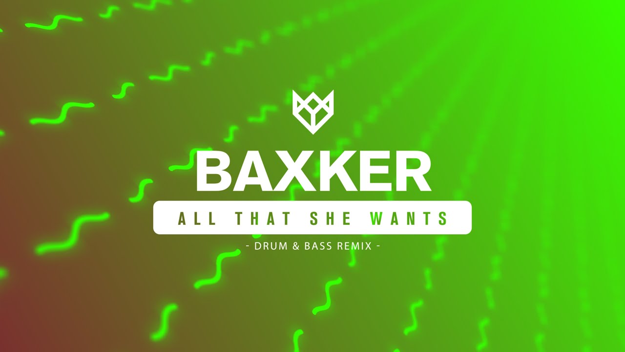 ACE OF BASE - ALL THAT SHE WANTS (BAXKER REMIX)