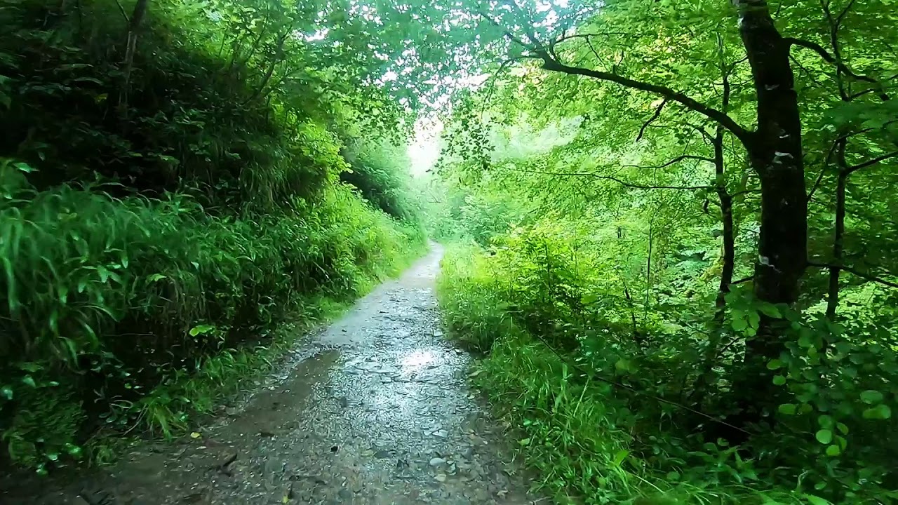 Rando dans les gorges d'Olhadubi et passerelle d'Holzarte... (1/10)