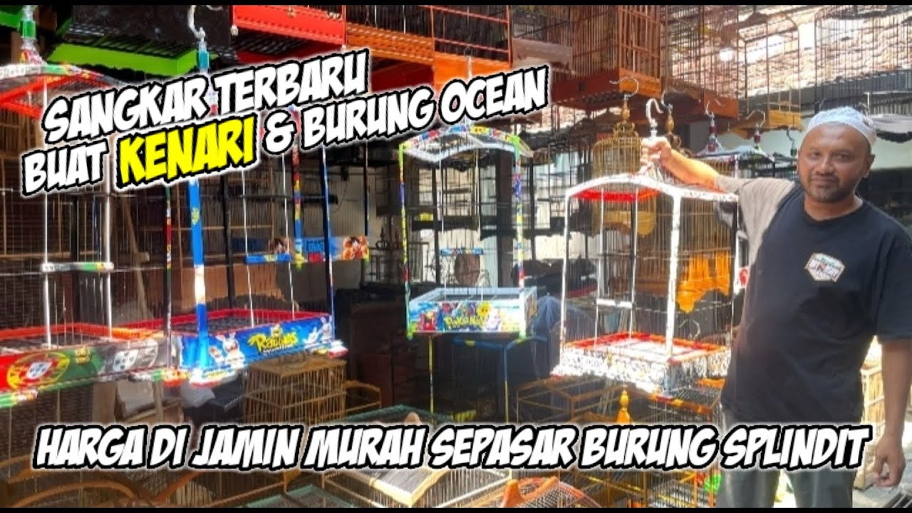 UPDATE Sangkar Kenari Decal & Alusan Harga Murah #sangkar #sangkarkenari #sangkarburung 
